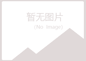 禹城夏岚水泥有限公司